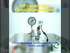 LDZK-0.02-0.7 উচ্চ চাপ বৈদ্যুতিক বাষ্প জেনারেটর