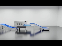 স্বয়ংক্রিয় ফ্রাইং উৎপাদন লাইন